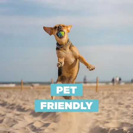 Casa Liana 11 公寓 利尼亚诺萨比亚多罗